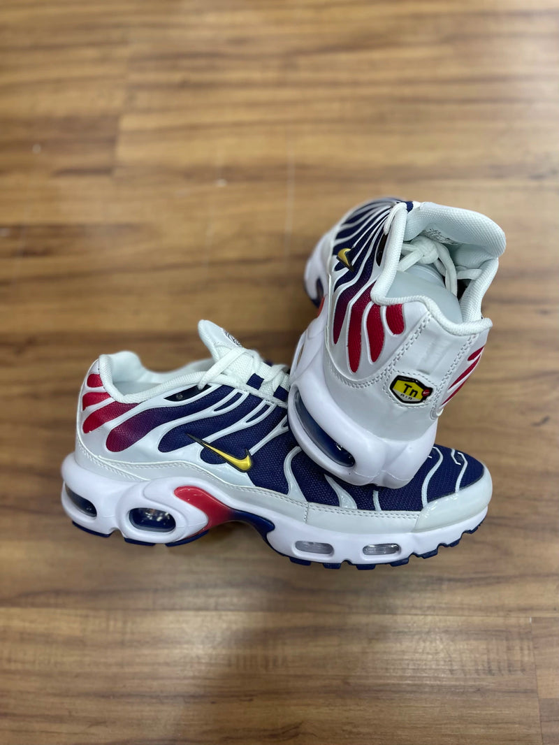 NIKE AIR MAX PLUS TN - PSG